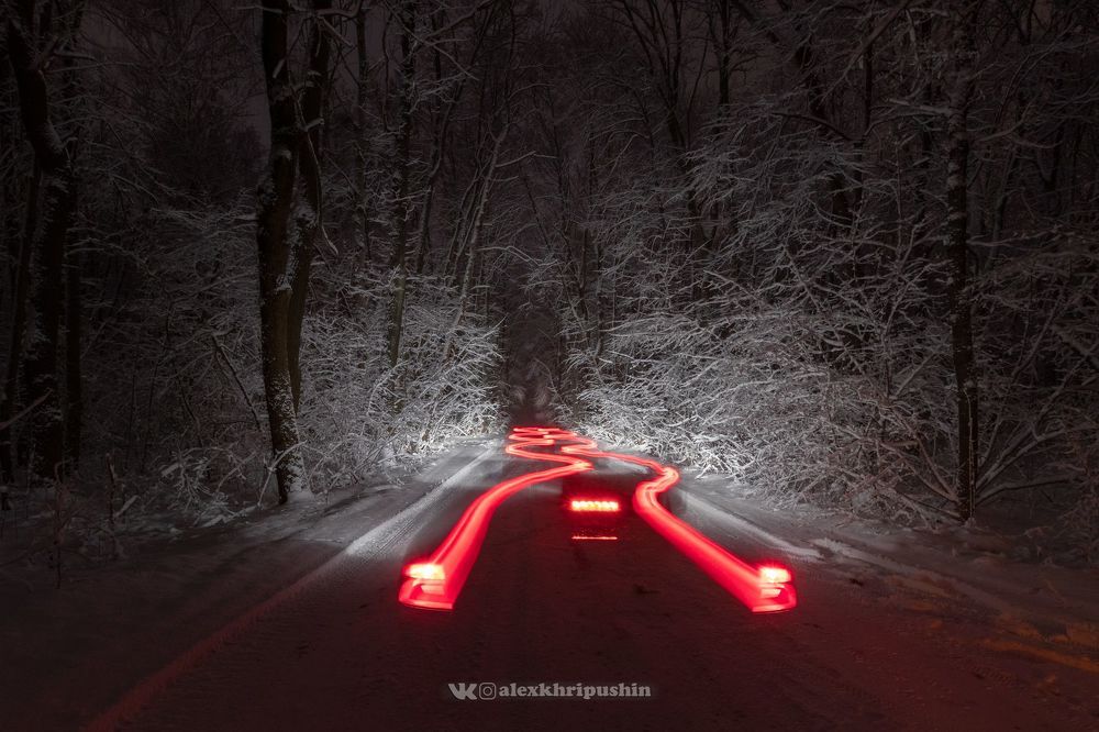 Snow, trees and trails