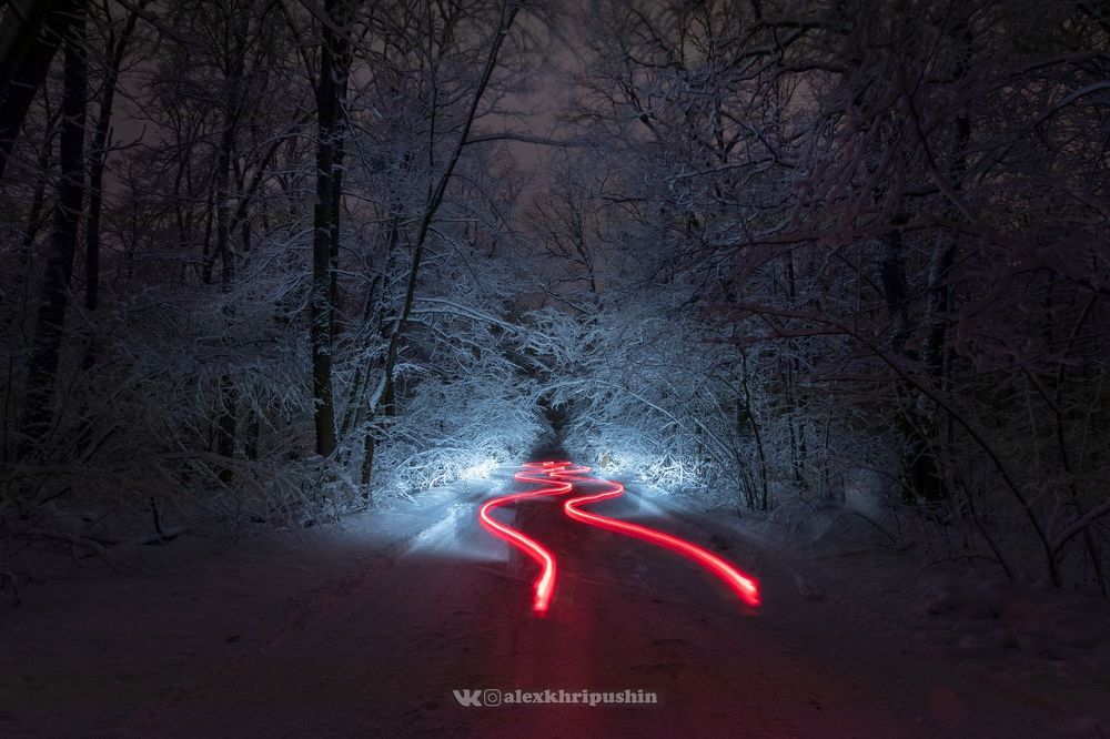 Snow, trees and trails