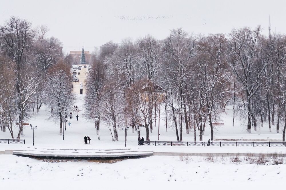 Графский парк в белом