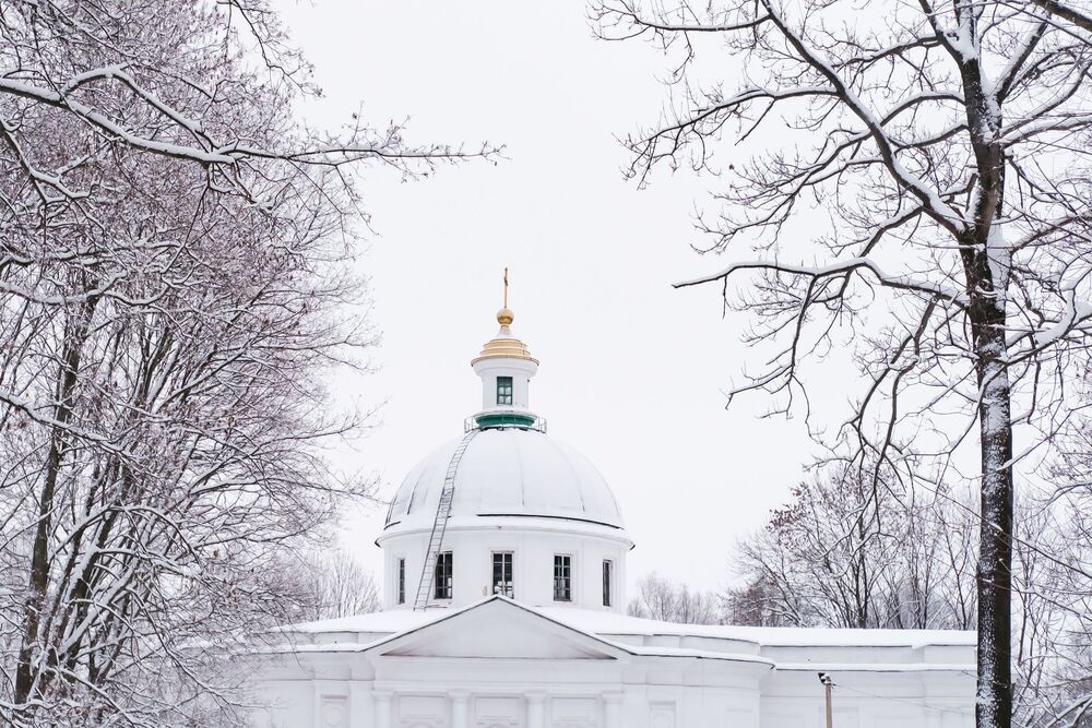 Графский парк в белом