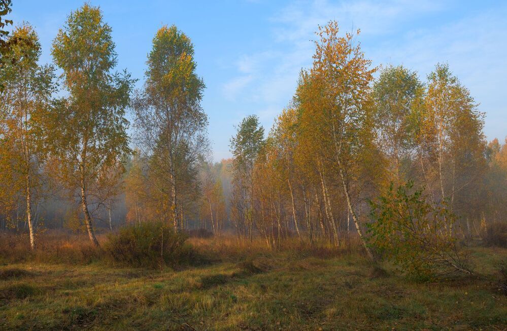 Колдовала осень утром ранним