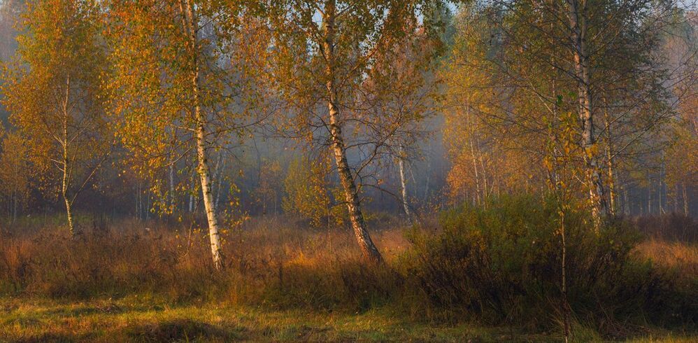 Колдовала осень утром ранним