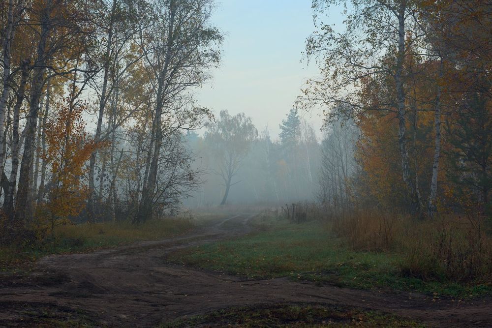 Предрассветная тишина, октябрь