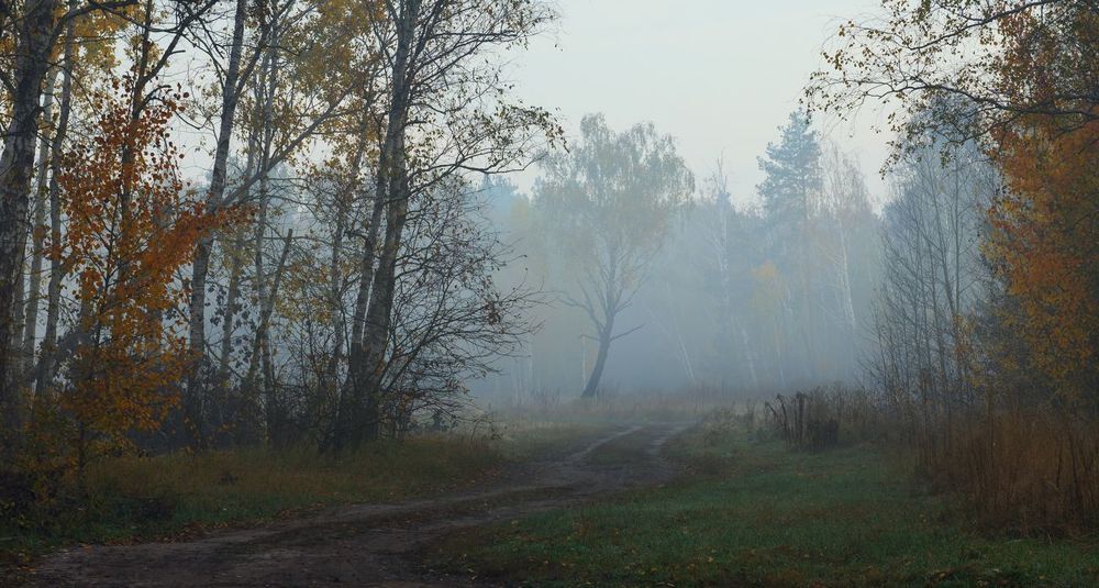 Предрассветная тишина, октябрь