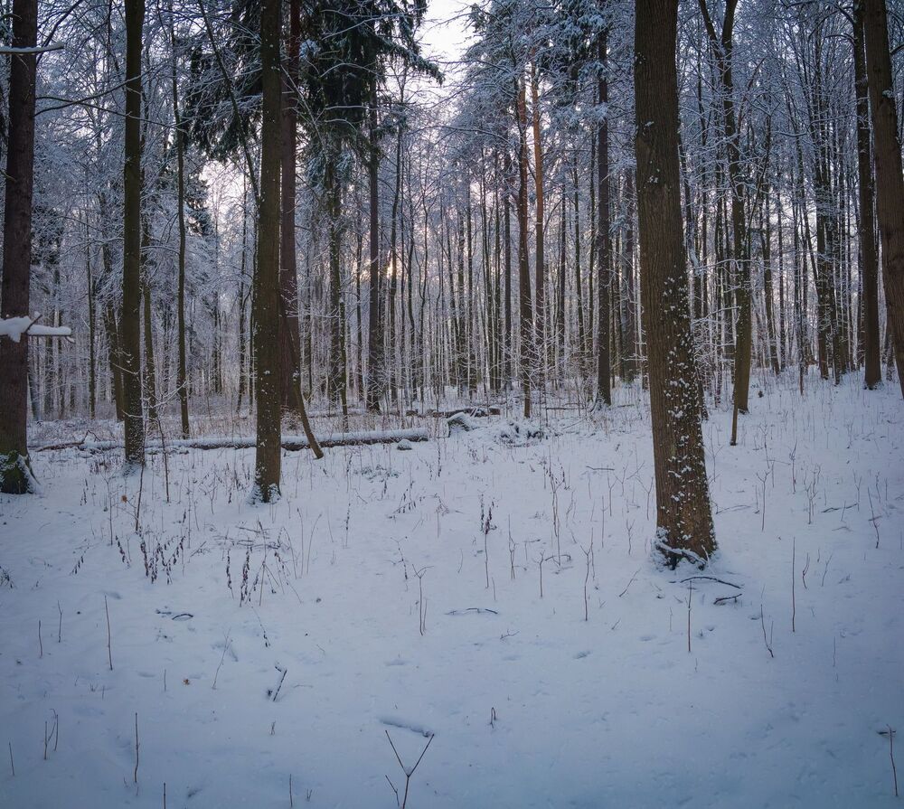 панорама 5 кадров f7.1 1/210
