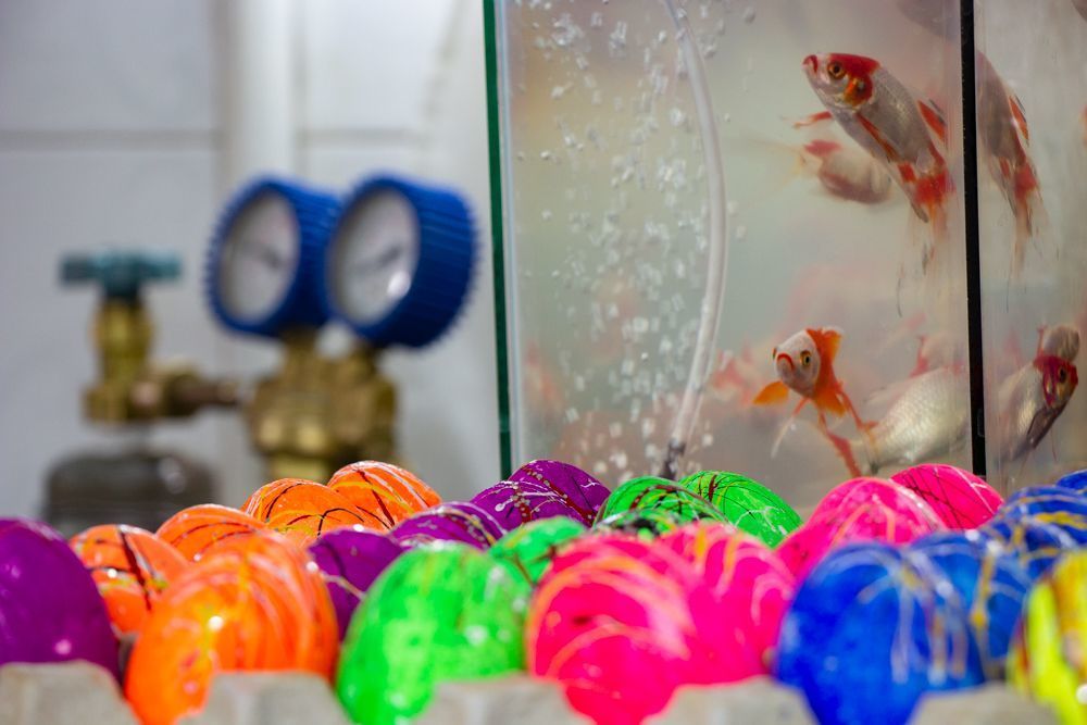 Goldfishes in aquarium and colored eggs are another stuff Iranian people use in their Nowruz celebration.