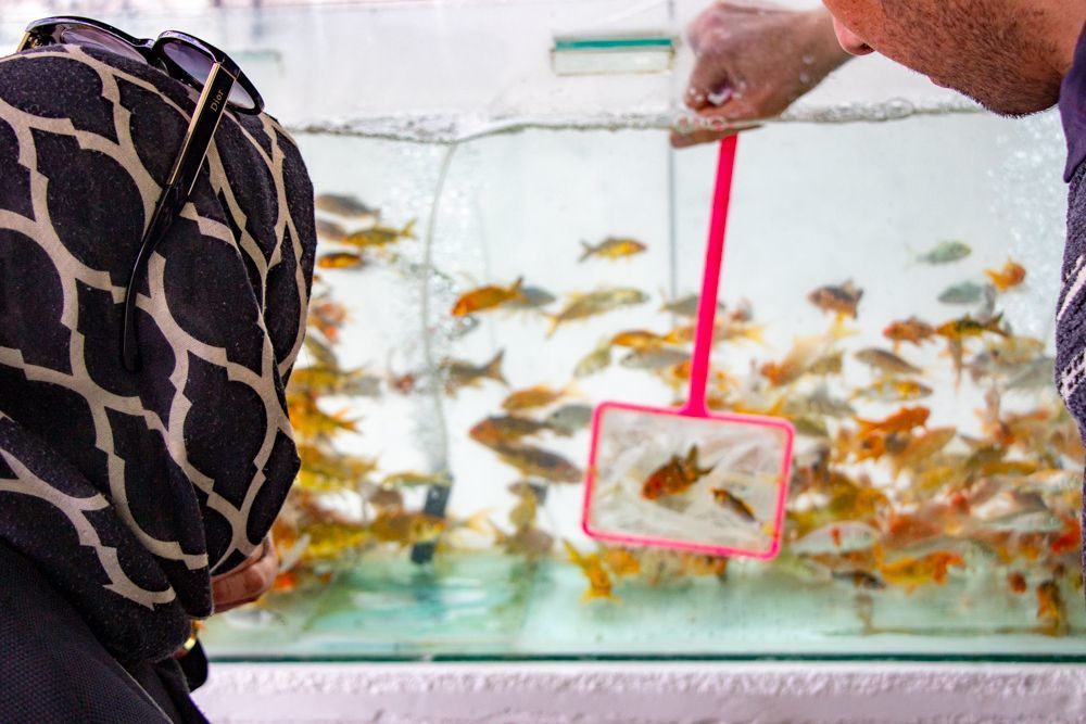 Women is try to choose the fish she wanted and the fish seller try to catch that fish for her.