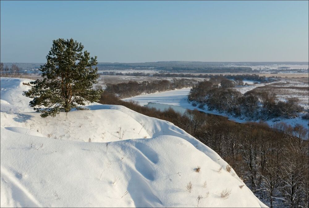 Заснеженный берег с сосной