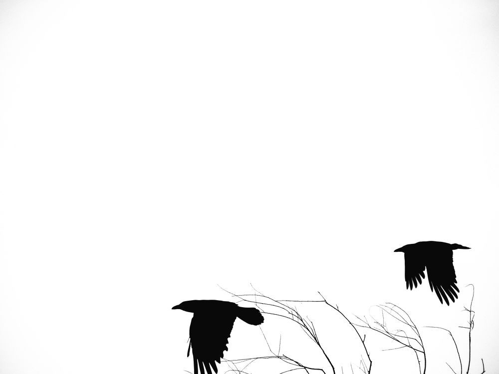 Photo 1616593