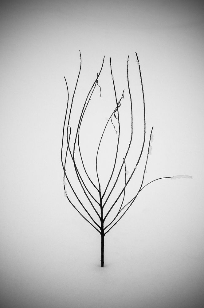 Photo 1616596