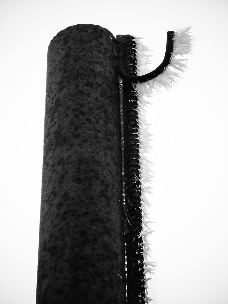 Photo 1616598