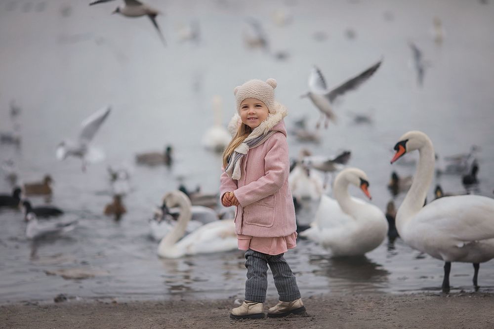 Лебединое озеро