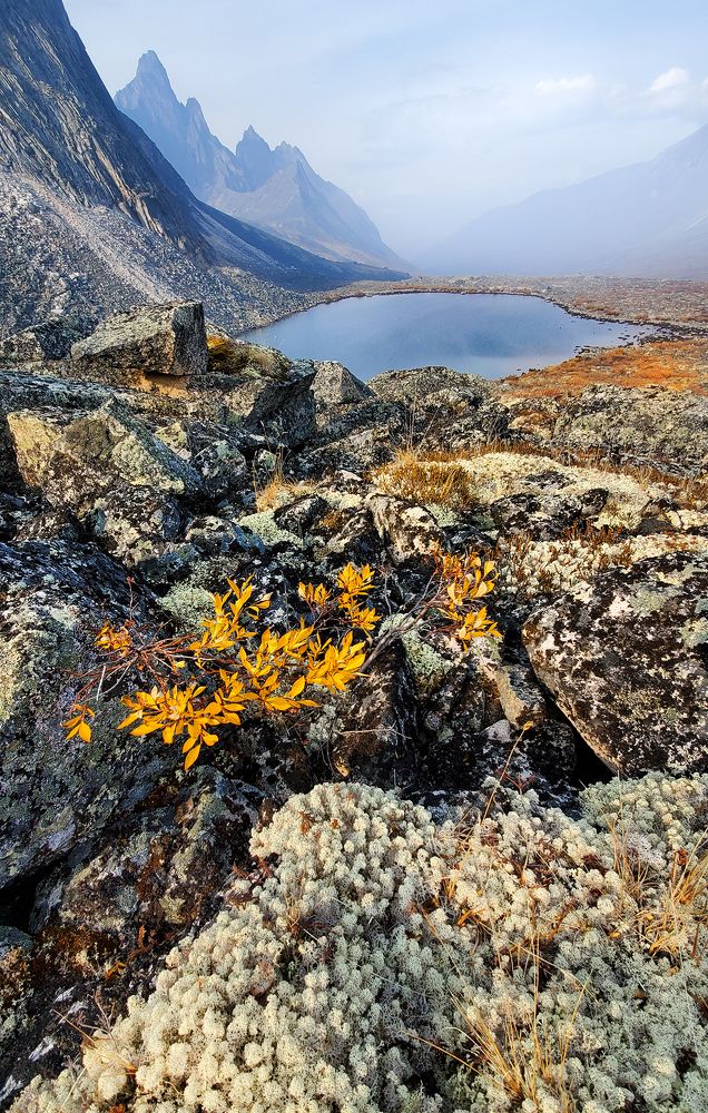 ТУНДРА ВЫПОЛНЕННАЯ В КАМНЕ