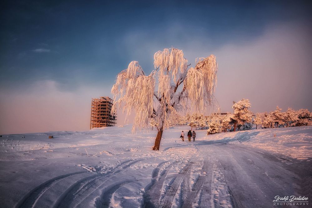 Snowy day