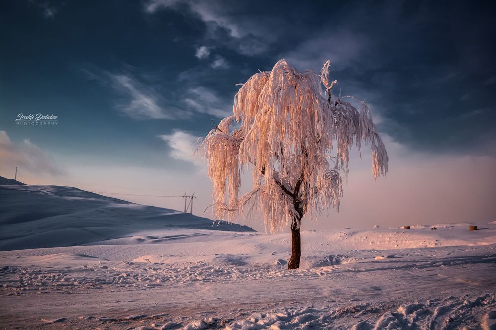 Snowy day