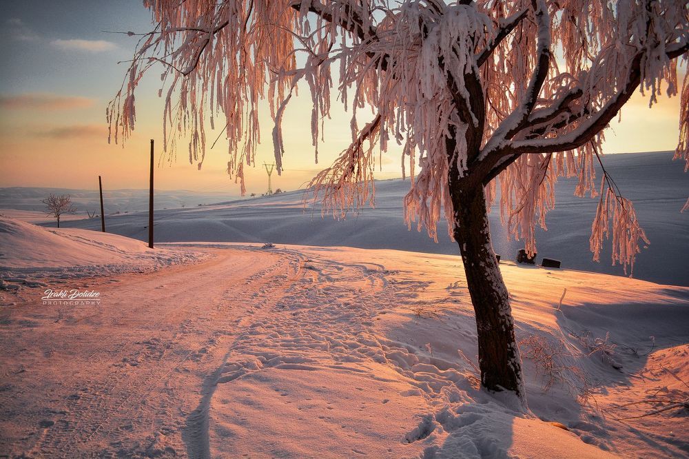 Snowy day