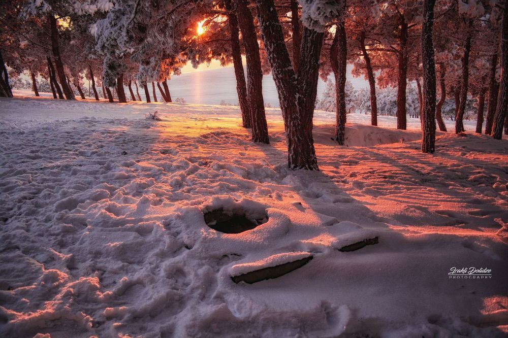 Snowy day