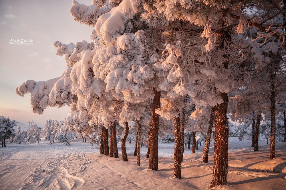 Snowy day