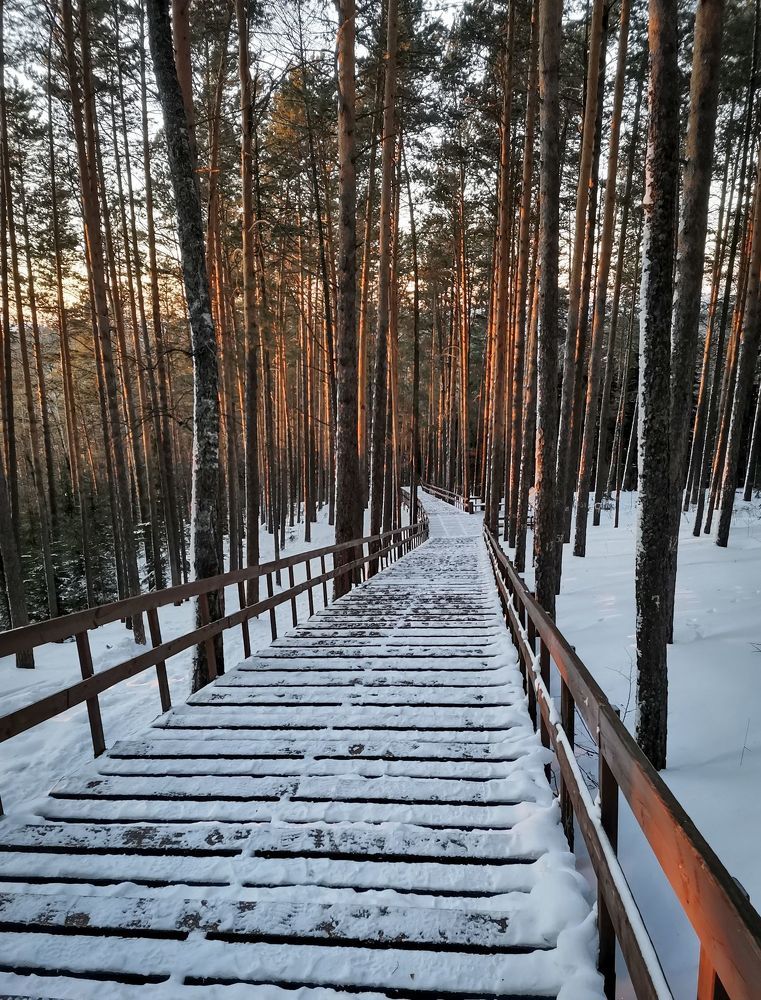 Дорога к дому