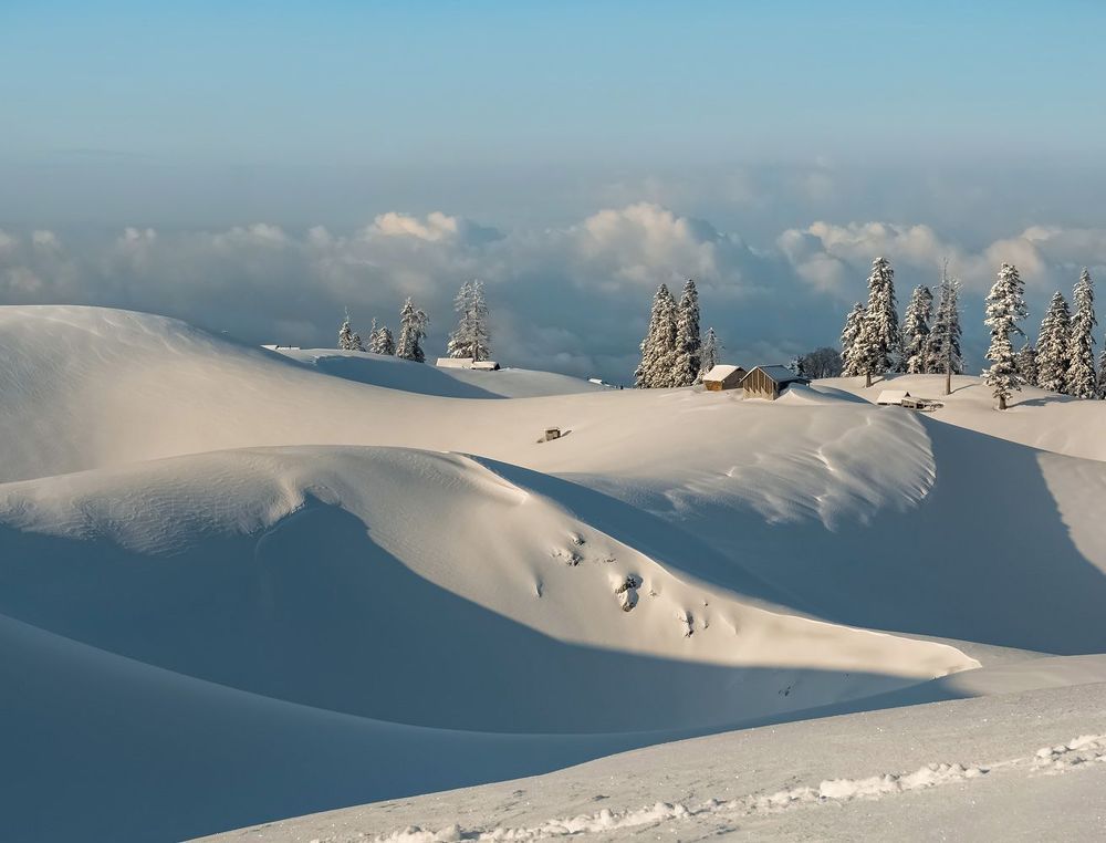Снежная графика