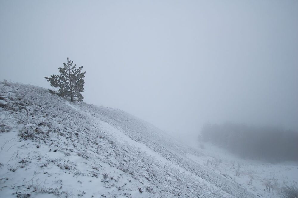 Белая мгла