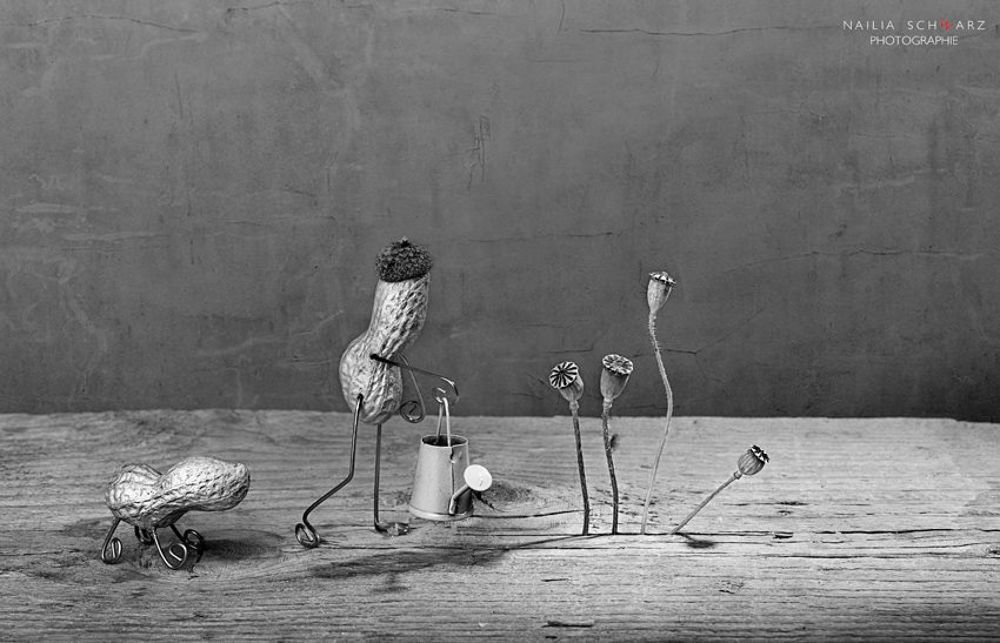 Simple Things, small storys