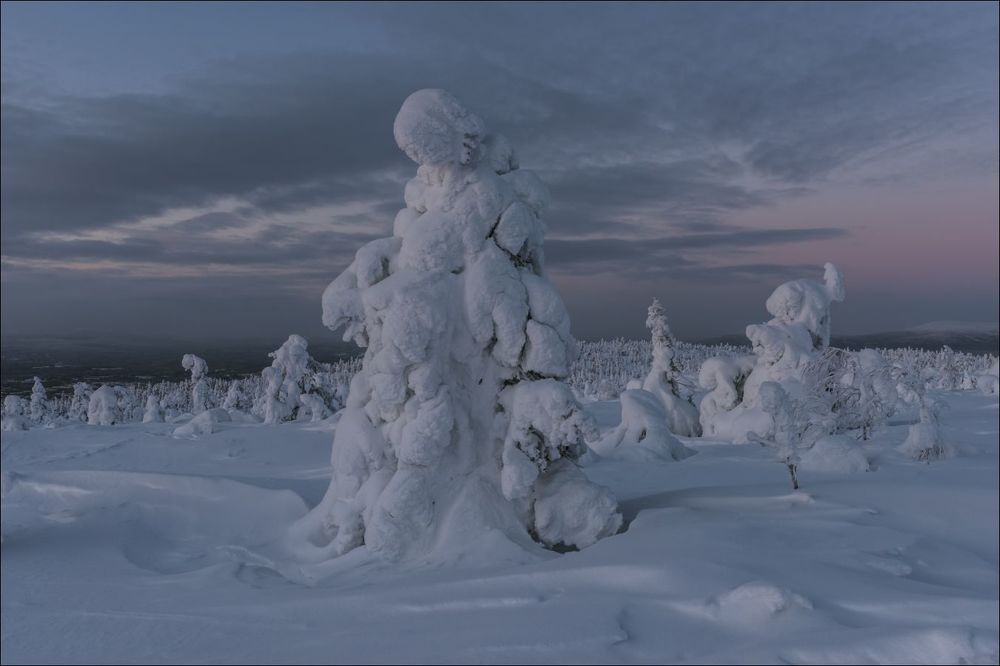 Сумерки