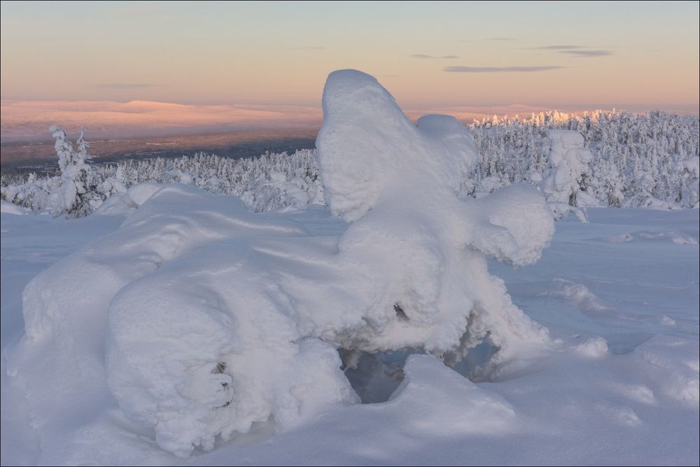 Приятное утро