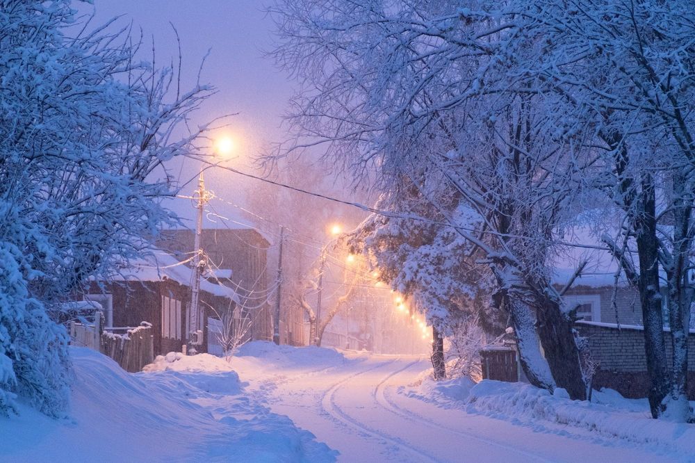 Портфолио