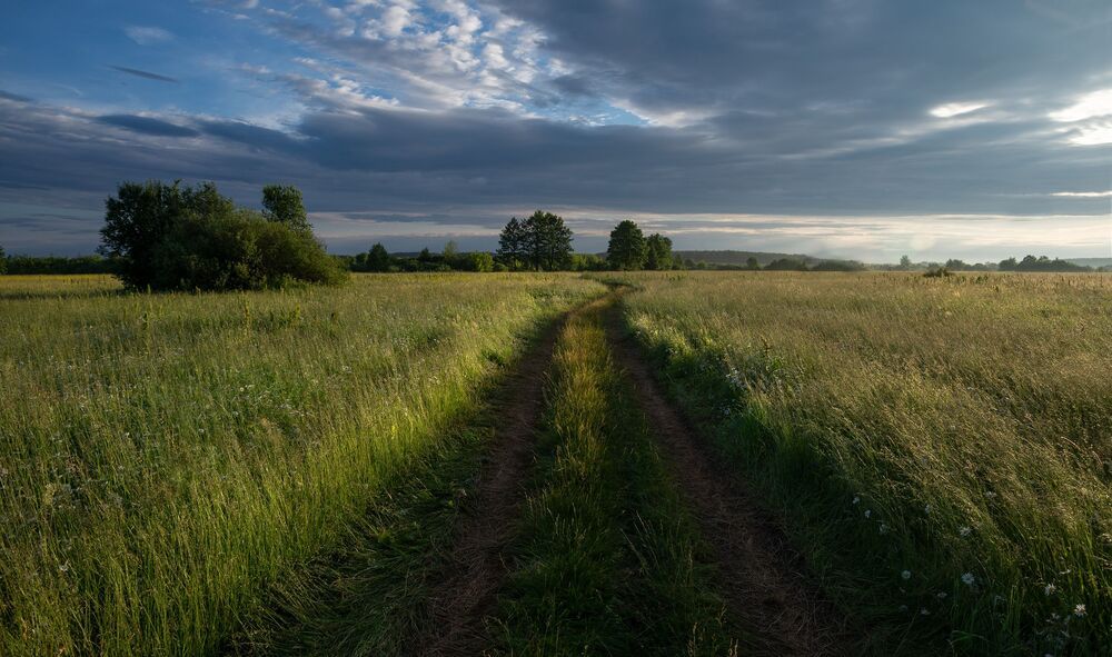 растворяясь в ароматных лугах...