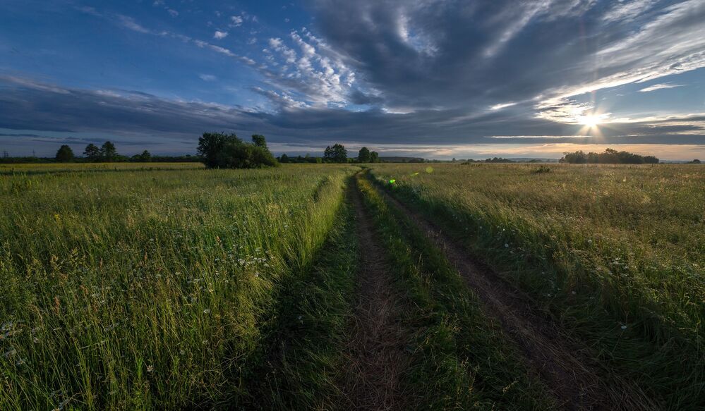 растворяясь в ароматных лугах...