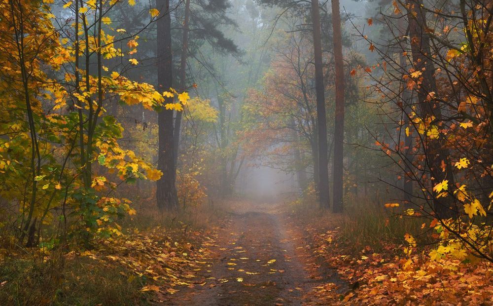 Волшебная осень