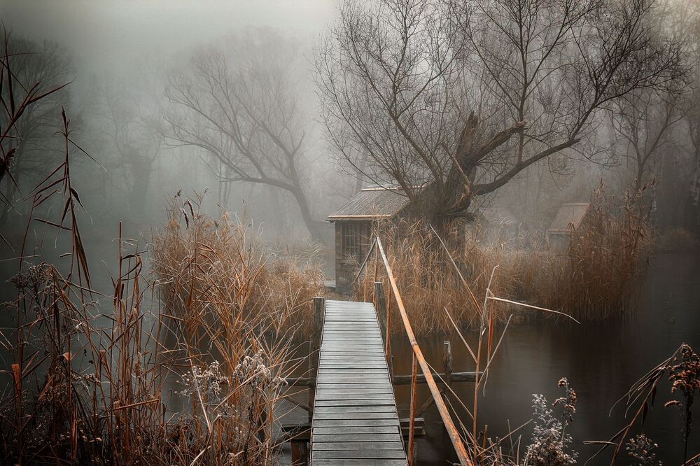 Photo 1627677