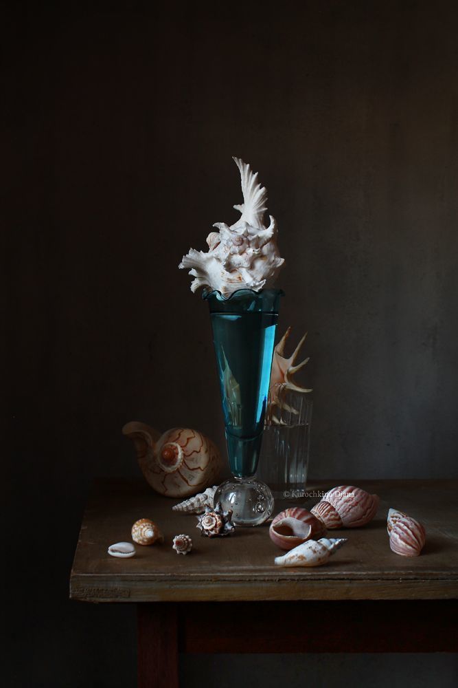 Seashells