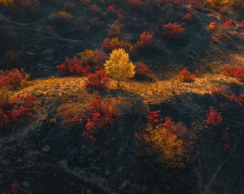 Осень на песчаных бурунах