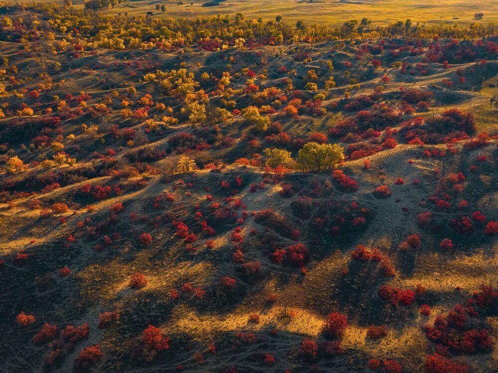 Осень на песчаных бурунах