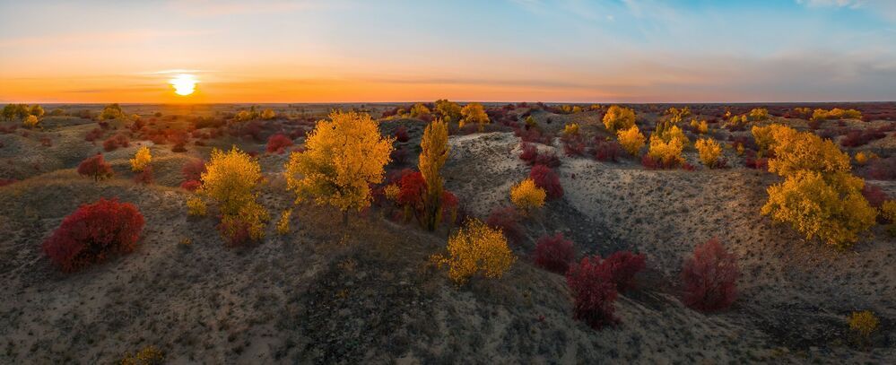 Осень на песчаных бурунах