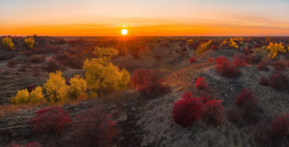Осень на песчаных бурунах