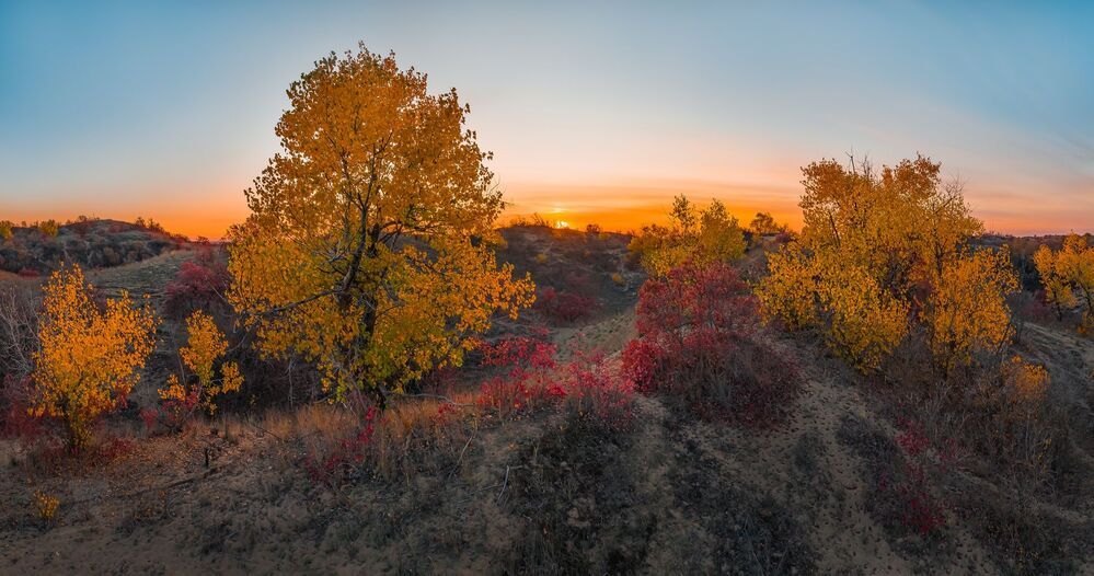 Осень на песчаных бурунах