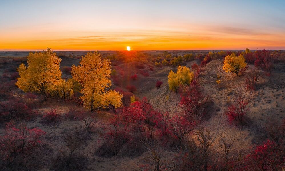 Осень на песчаных бурунах