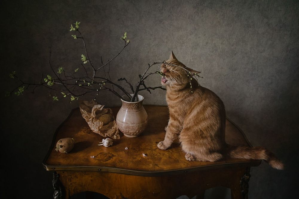 Скоро весна, всё распускается :)