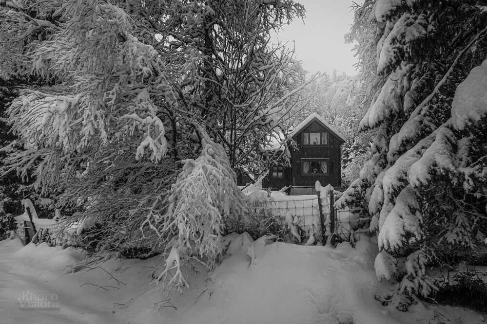 Winter wonderland