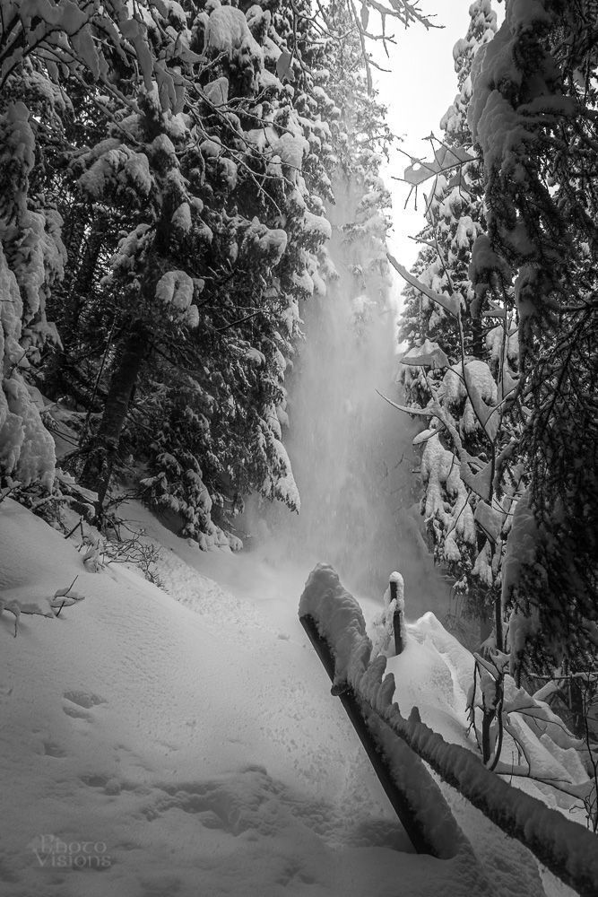 Winter wonderland