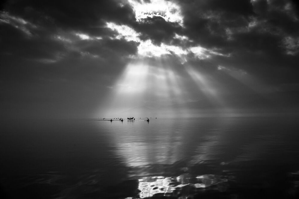 Pelicans-refuge