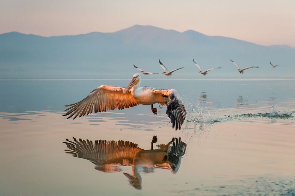 Reflections