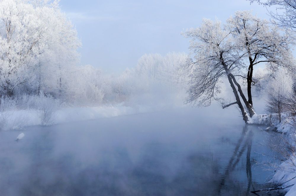 Зимняя свежесть