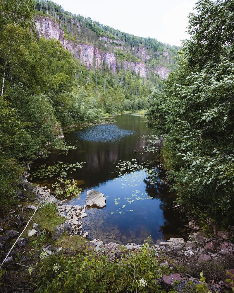 Природа родного края