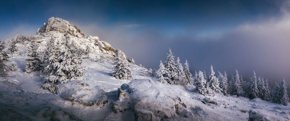 Природа родного края