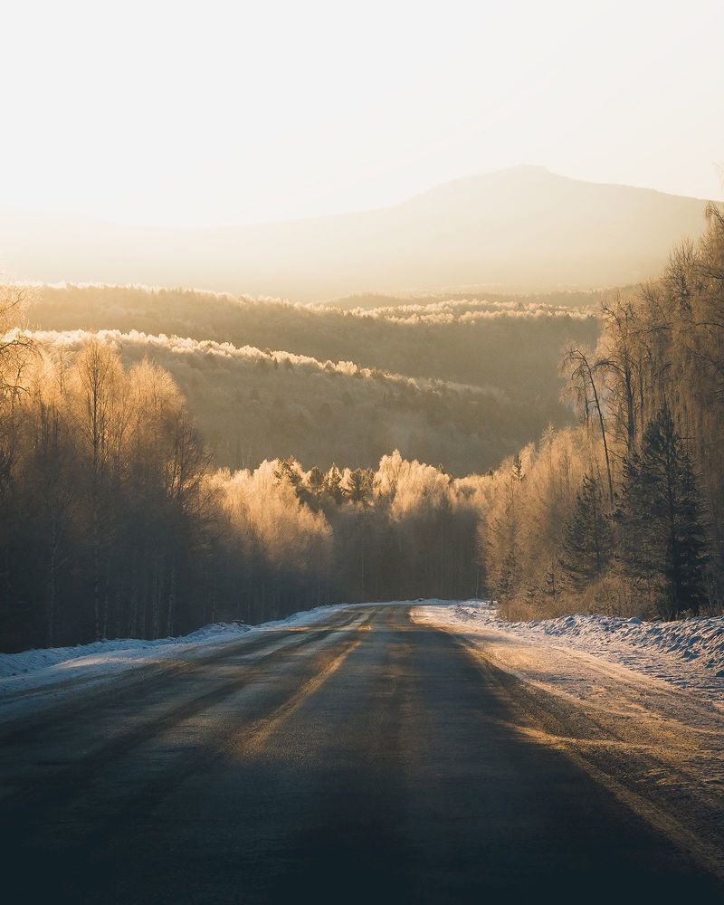 Природа родного края