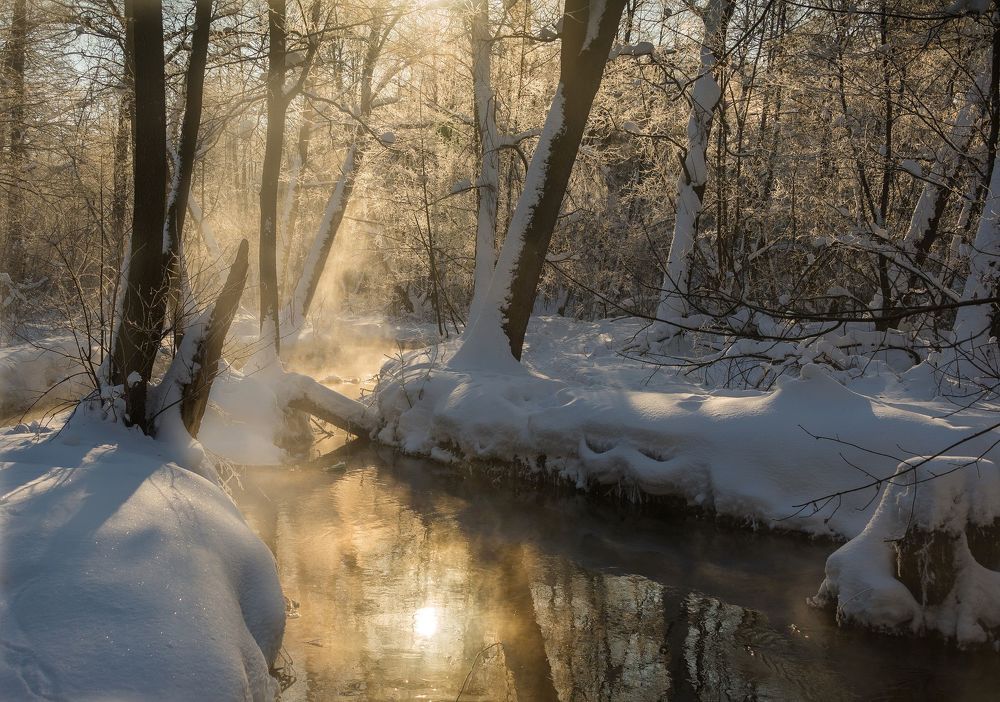 Морозное утро